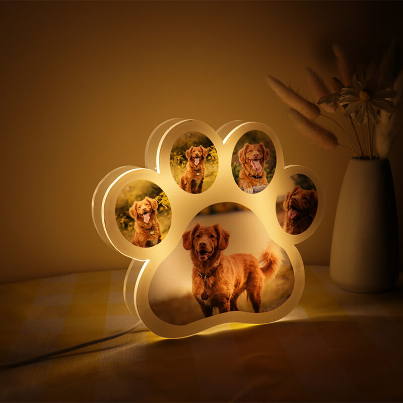 Perro Luz Nocturna – Golden Retriever – Mascota Luz LED de Noche